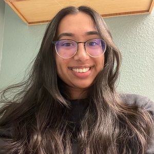 Meet your Posher, Rumnik